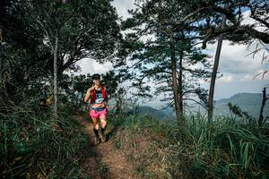 BIB: 
                            <button type="button" onclick="openModal(26049144)" class="btn btn-primary btn-sm float-right btn-popup" data-toggle="modal" data-target=".modal-high-quality">
                        <i class="fas fa-shopping-cart"></i> Add to Cart
                    </button>
                                            <button type="button" onclick="isThisMe(26049144, true)" class="btn btn-success btn-sm float-right btn-popup btn-isme hidden" data-toggle="tooltip" data-placement="bottom" title="นี่คือรูปของคุณใช่ไหม คลิกที่นี่เพื่อเอาเข้าอัลบั้ม">
                        <i class="fas fa-plus"></i> Add to album
                    </button>
                    <button type="button" onclick="isThisMe(26049144, false)" class="btn btn-warning btn-sm float-right btn-popup btn-isnotme hidden">
                        <i class="fas fa-ban"></i> Remove from album
                    </button>